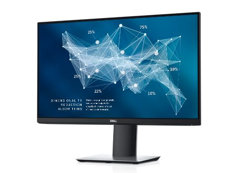 Dell 24 Professional Monitor - P2421D - 60.45cm (23.8