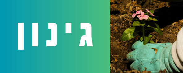 גינון 